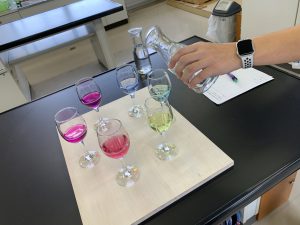 小学生の夏休み！埼玉平成がチャレンジの舞台になった