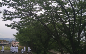 【中学校】理科の授業🍃🔬🔎